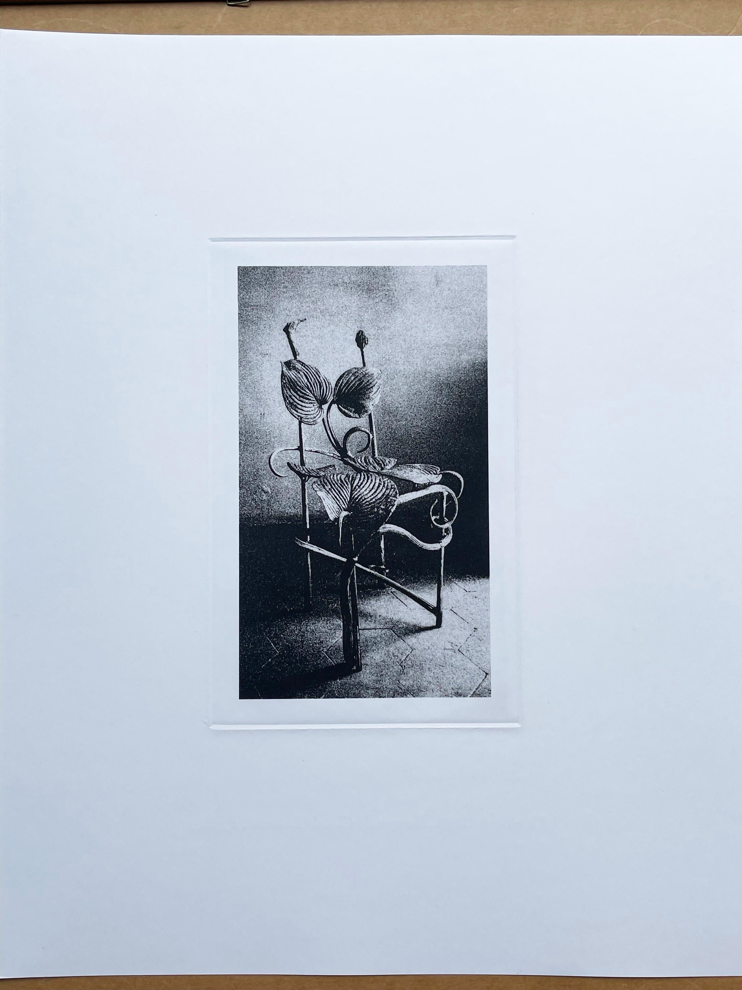 Français Claude Lalanne (1925-2019), Chaise Horta, gravure à l'héliogravure sur papier en vente