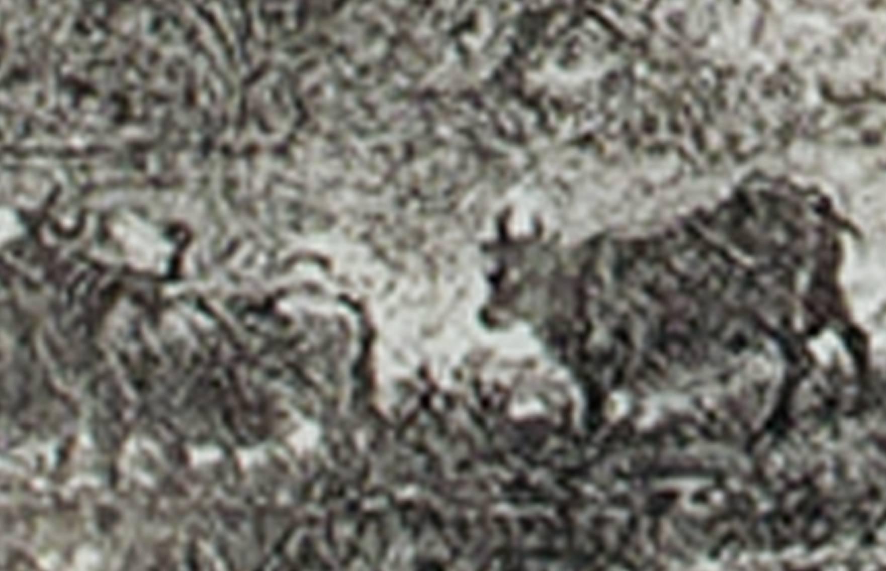 « Le Bouvier (La vache), paysage gravé par Claude Gelle Le Lorrain  - Maîtres anciens Print par Claude Lorrain