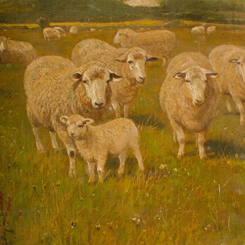 Claude Lorraine Clark (British, 1864 - 1937) Sheep in countryside landscape with hills in background, an oil on canvas painting, signed lower left, unframed.