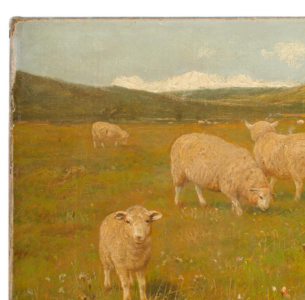 English Claude Lorraine Clark (British, 1864 - 1937) Sheep in Pasture Oil Painting
