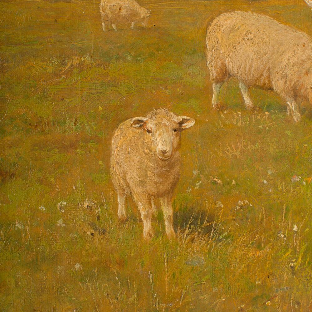 Canvas Claude Lorraine Clark (British, 1864 - 1937) Sheep in Pasture Oil Painting