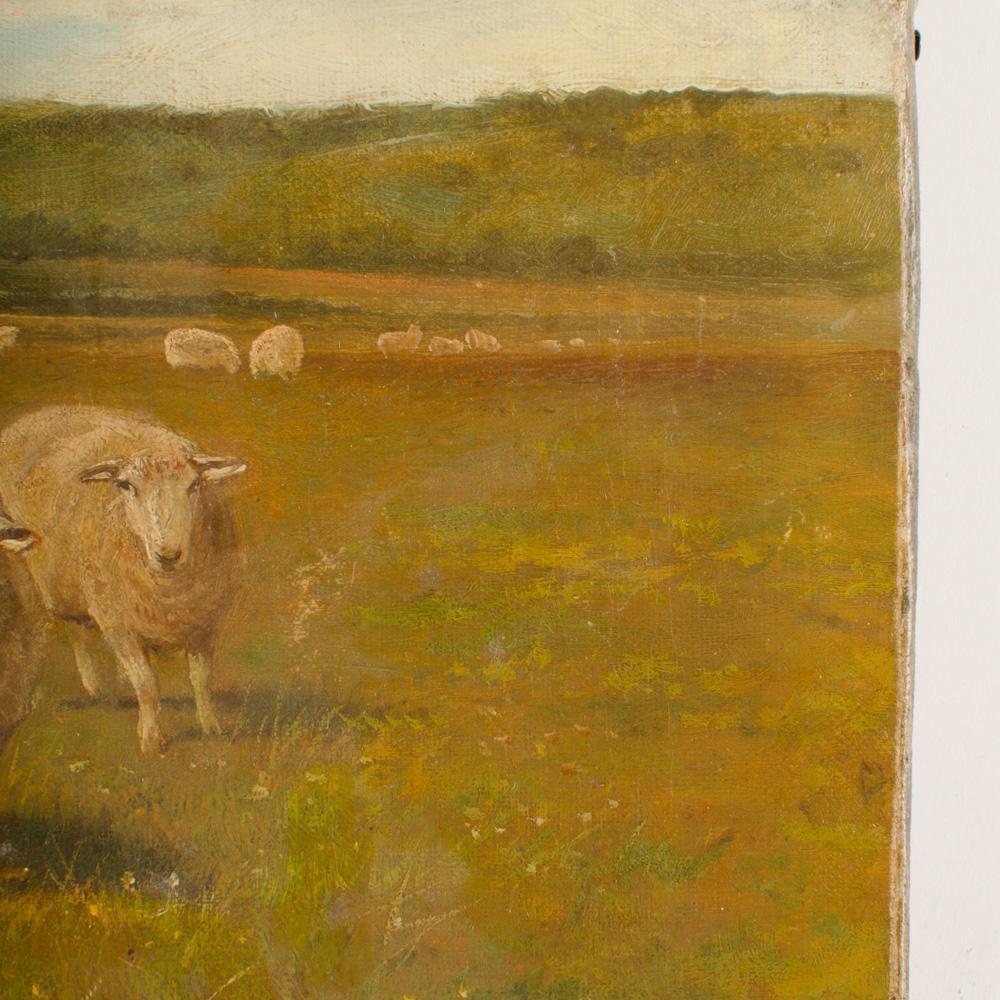 Claude Lorraine Clark (British, 1864 - 1937) Sheep in Pasture Oil Painting 1