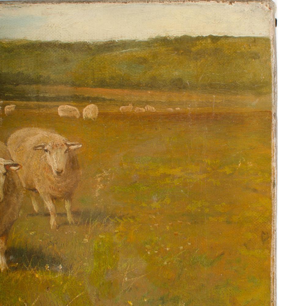 Claude Lorraine Clark (British, 1864 - 1937) Sheep in Pasture Oil Painting 2