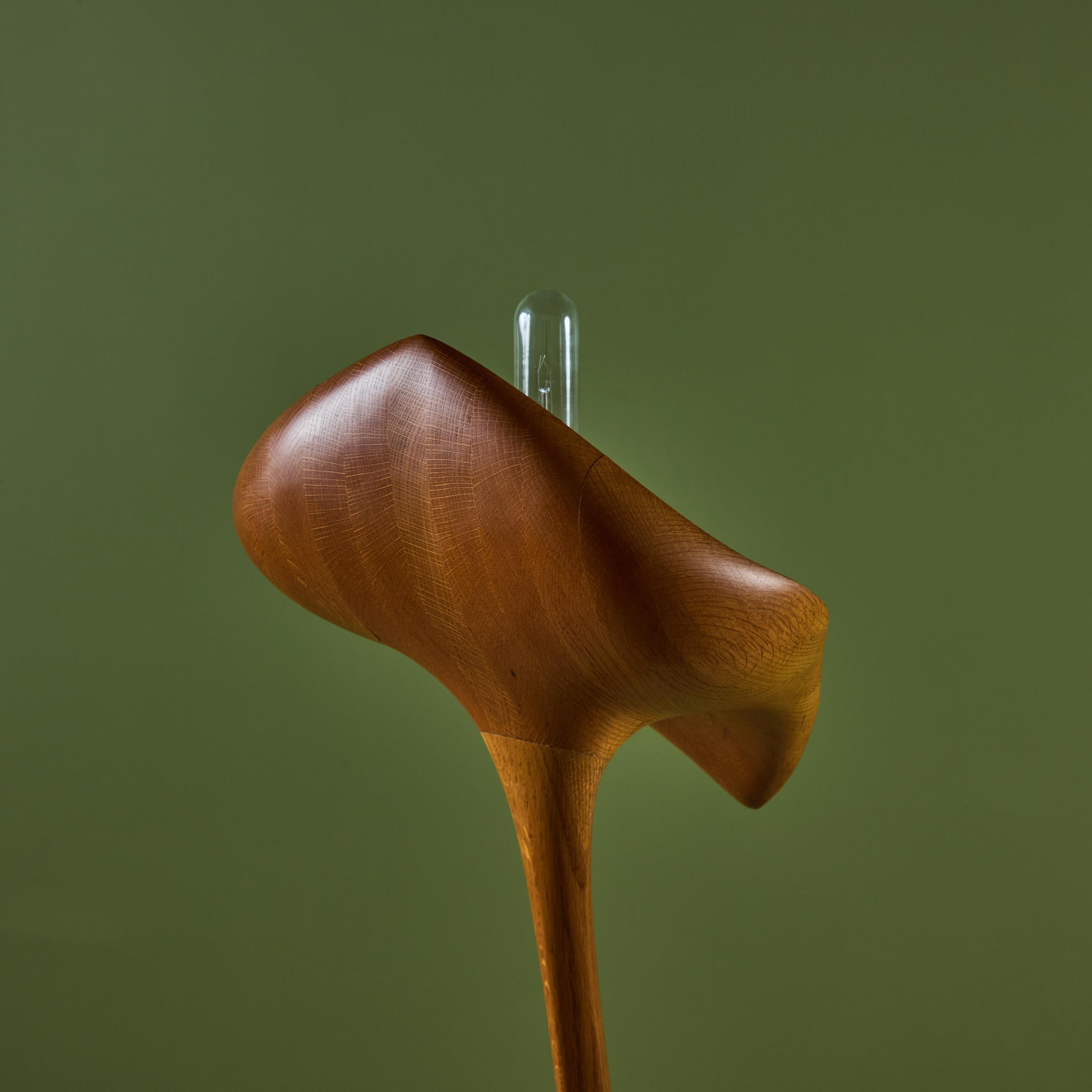 Claude Terrell III Anthurium Floor Lamp For Sale 8