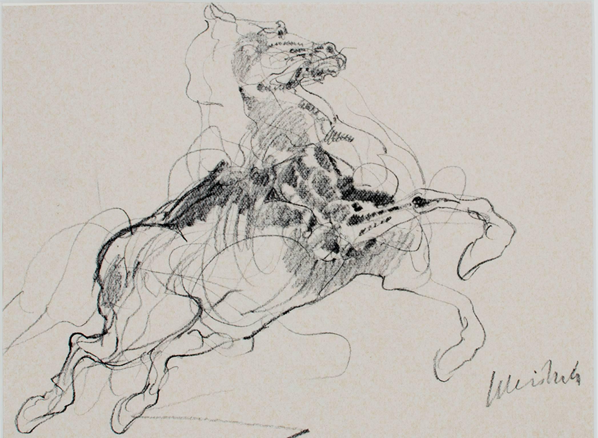 20th century graphite pencil animal drawing horse study sketch gestural signed