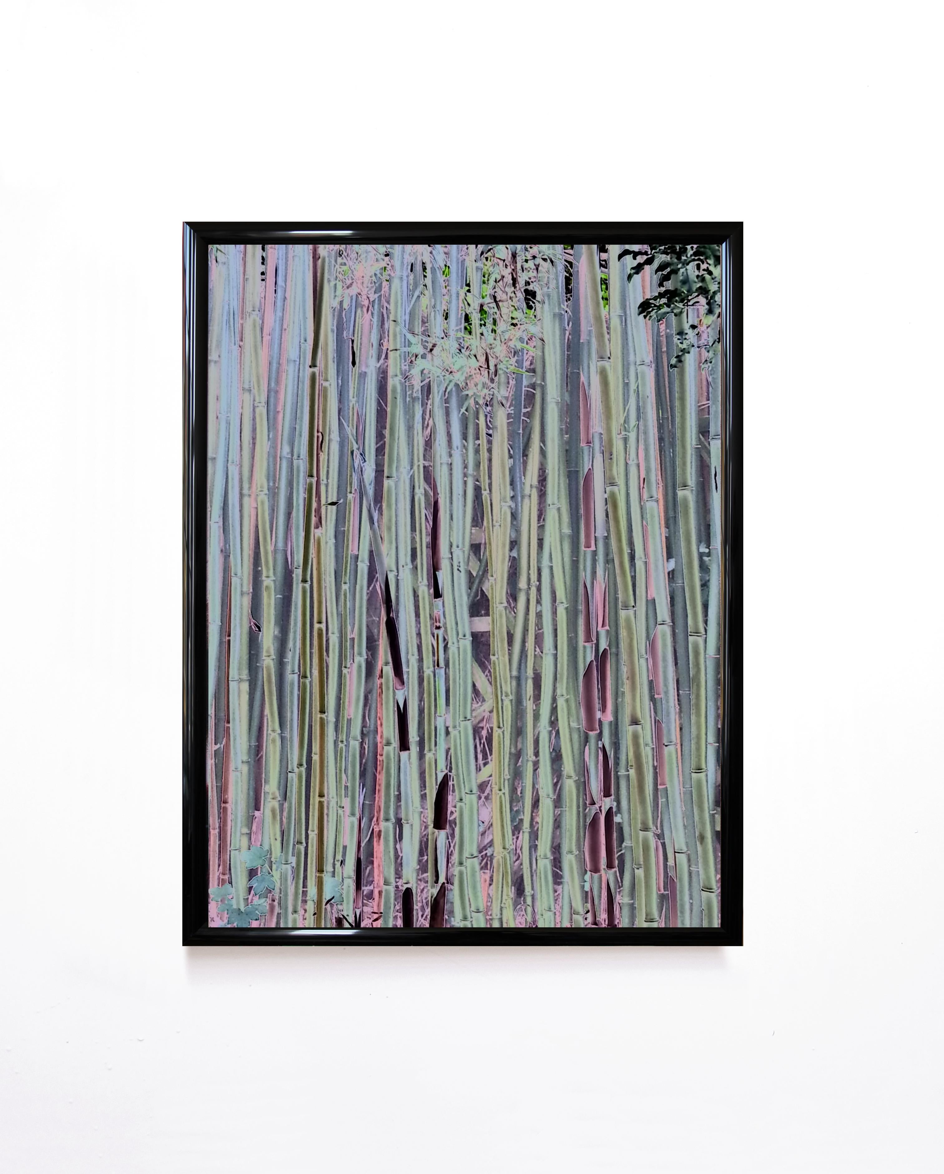 Claudia Fauth Impresión aleatoria, Jardín de Barbara Hepworth, St. Ives, Inglaterra en venta 6