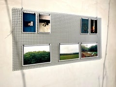 Horizon line, trees, green and yellow, sky nature, old analogue photograph