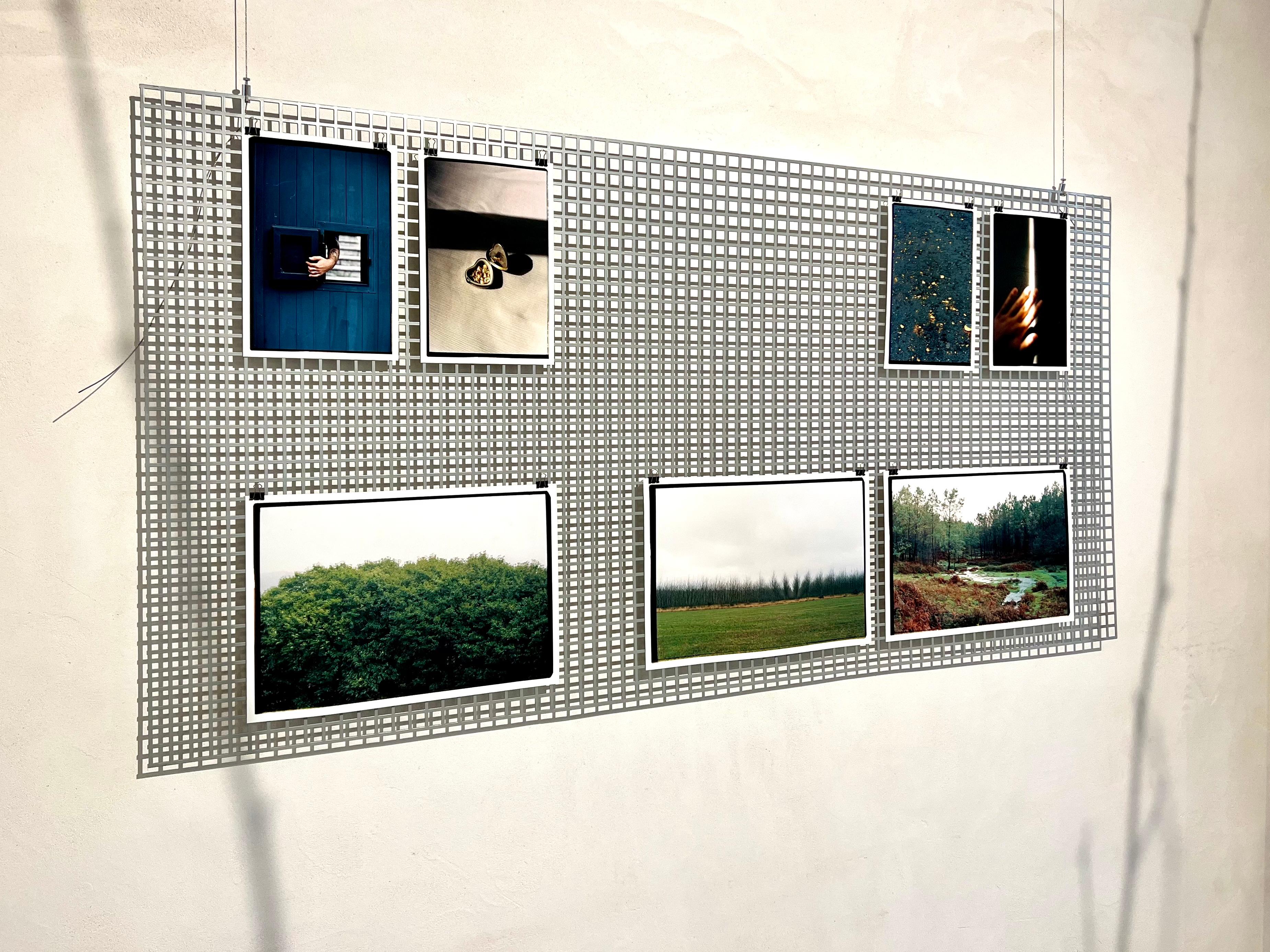 Meteoriti, luce naturale, fotografia analogica, campo stellare, pietre e geometrie - Photograph Concettualismo di Claudia Ferreiro