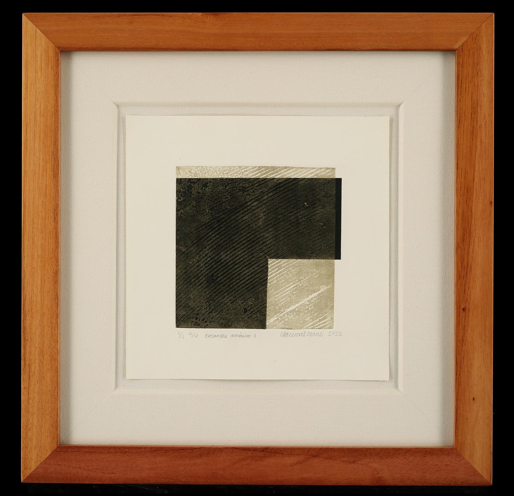 Ensamble armónico 1 (Harmonic Ensemble 1) - Abstract Mixed Media Art by Claudia Martínez Lanz