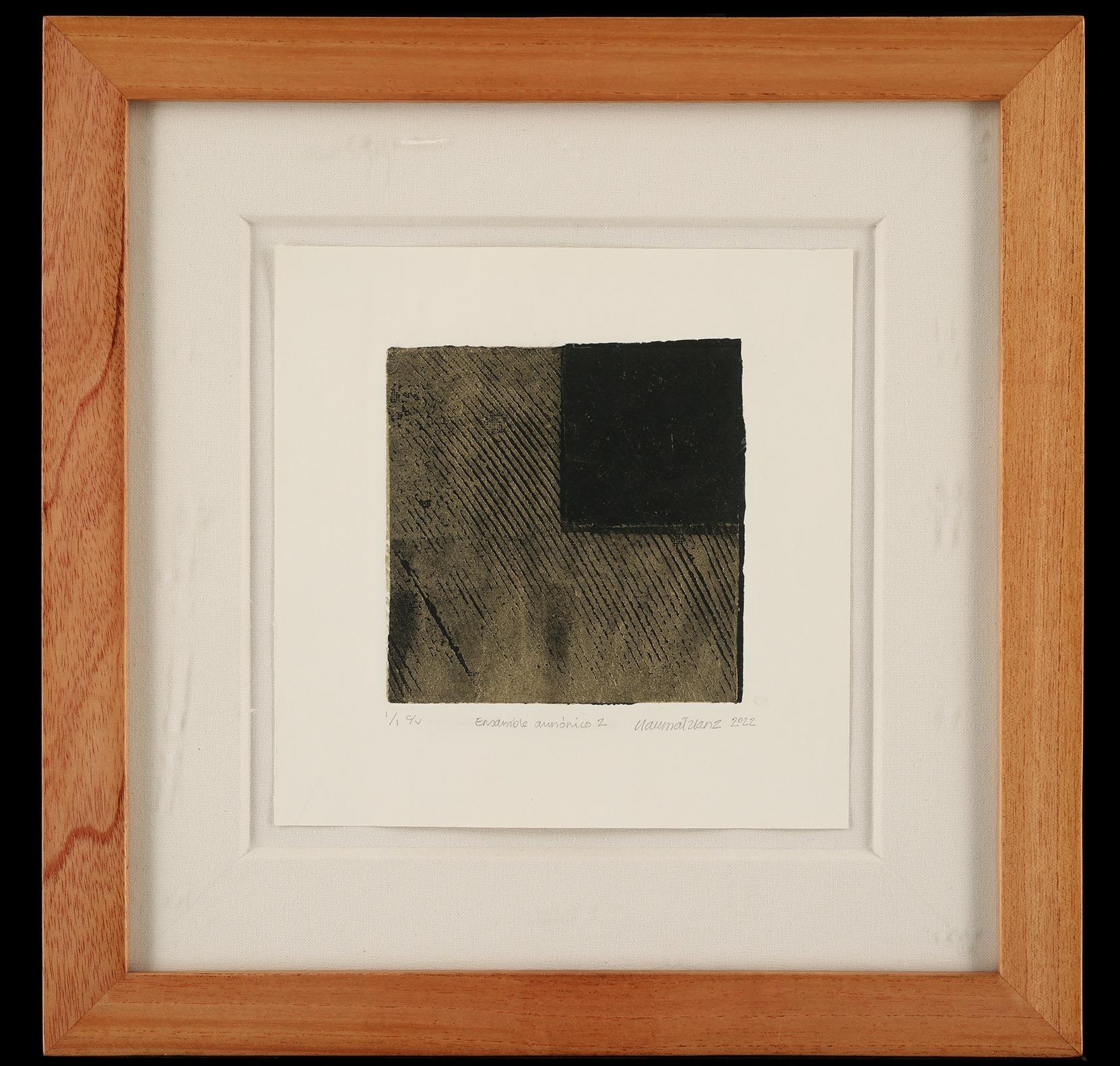 Ensamble armónico 2 (Harmonic Ensemble 2) - Abstract Mixed Media Art by Claudia Martínez Lanz