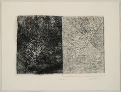 Sincronía 7 (Synchrony 7)