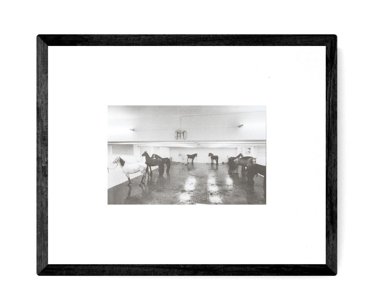 Invitation originale à l'exposition Claudio Abate : Arte Povera - Roman Art Scene, qui s'est tenue à la Almine Rech Gallery à Bruxelles du 24 mai au 28 juillet 2018. Abate, l'un des plus importants photographes italiens d'art contemporain, est