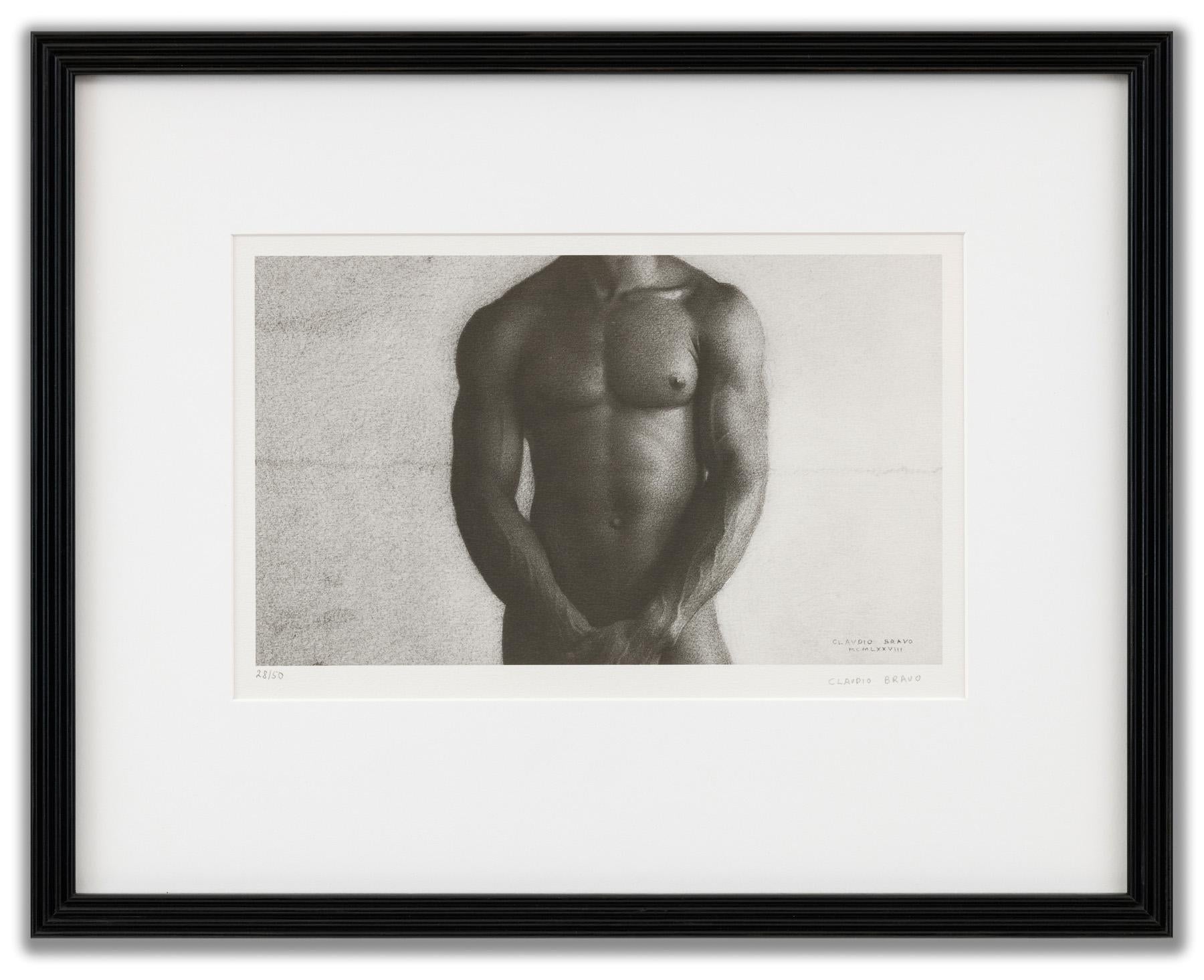 Torso