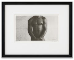 Torso