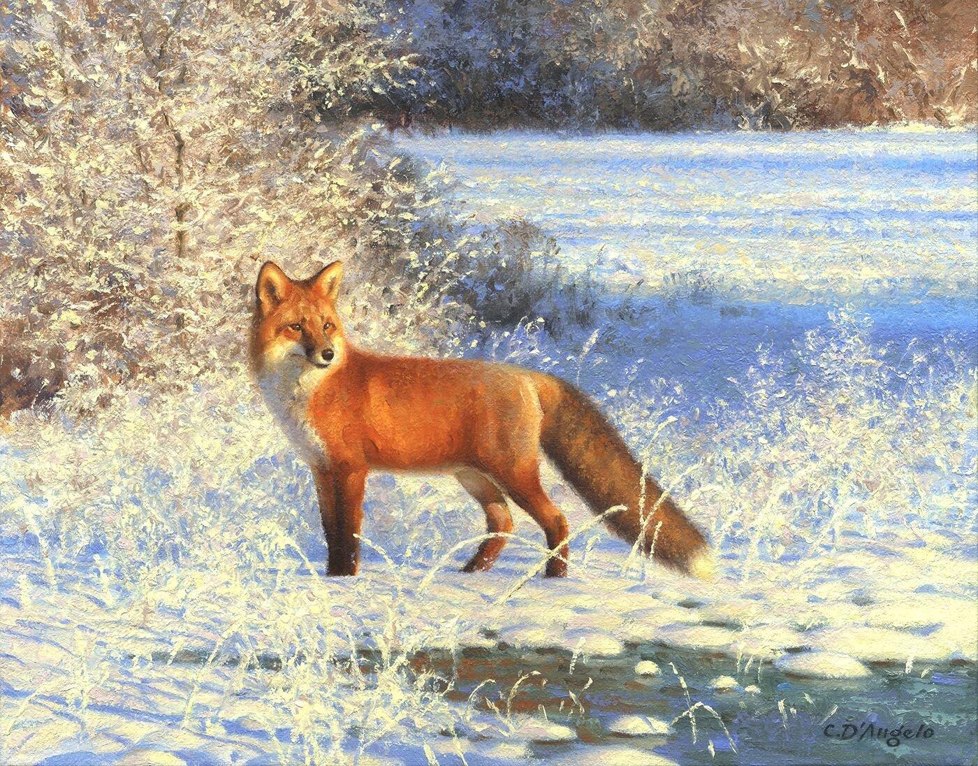 Cette œuvre, "Renard dans la neige fraîche", est un paysage d'hiver 11x14 peint à l'huile sur toile par l'artiste Claudio D'Angelo. Un renard roux vif se tient alerte dans la neige fraîchement tombée.  La lumière chaude danse sur la neige et les