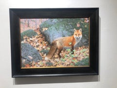 Claudio D'Angelo, "Woodland Fox", 13x18 Autumn Red Fox Landscape Oil Painting