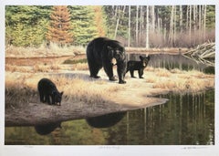 BLACK BEAR FAMILY
