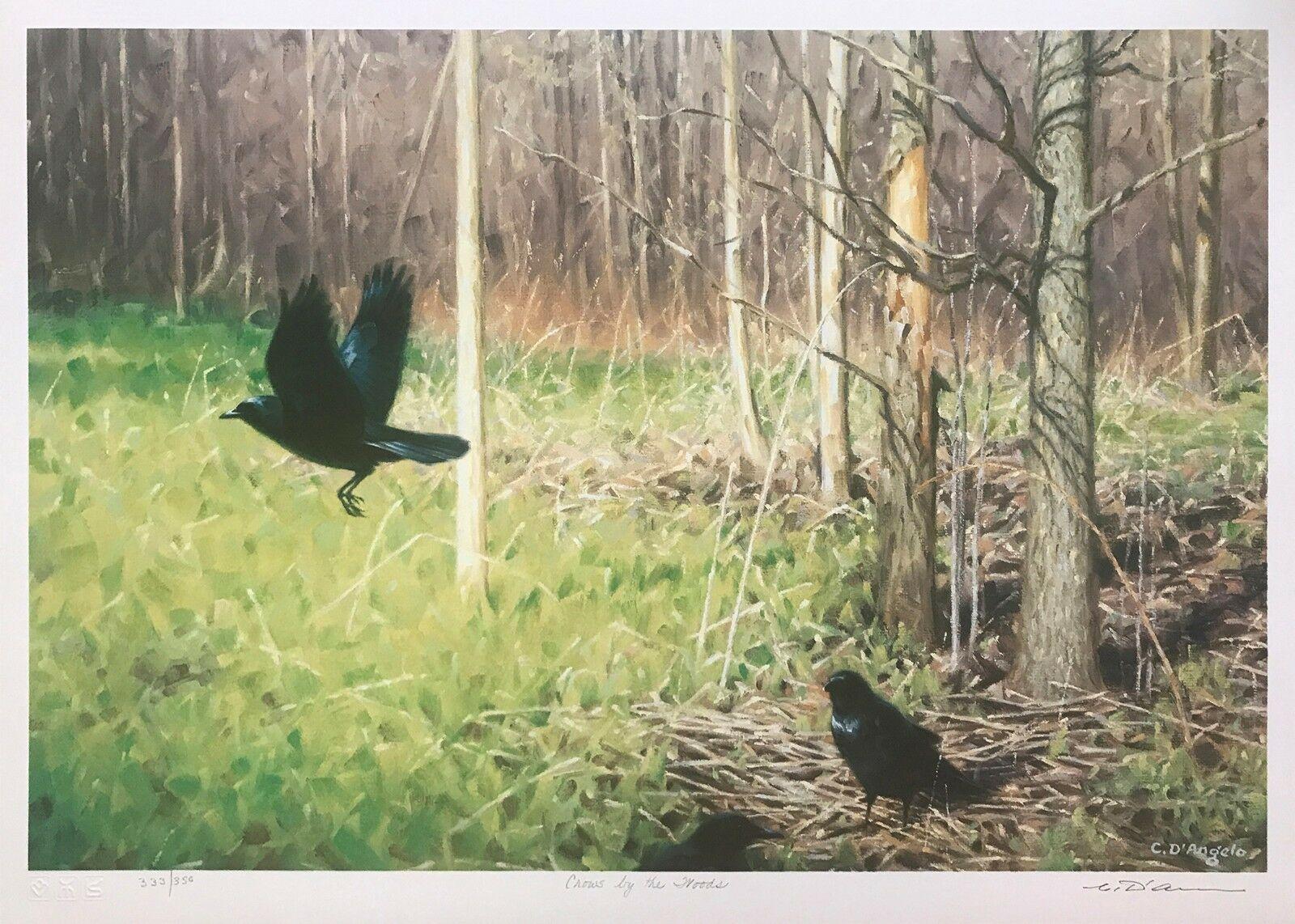 Claudio D'Angelo Animal Print - CROWS BY THE WOODS