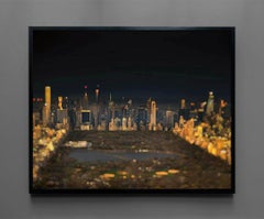 Machina Mundi New York, Central Park