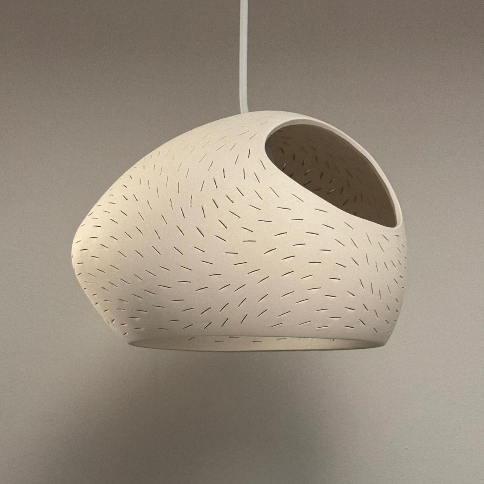 Organic Modern Claylight 12