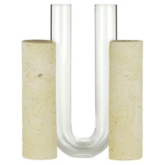 Clear Cochlea Dello Sviluppo Vase by Coki Barbieri