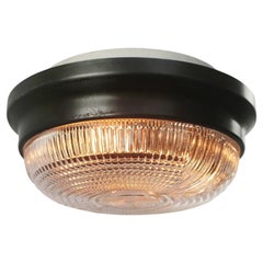 Clear Cut Glass Gray Metal Flush Mount Ceiling Light