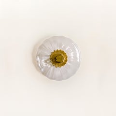 Aplique de Cristal Espadín Transparente, Grande, Colección Agave
