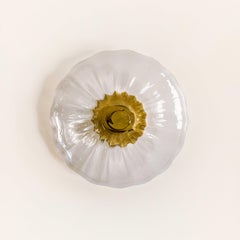 Klare Espadín-Glas-Halbeinbauleuchte, groß, Collection'S Agave