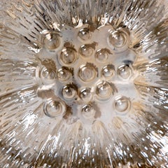 Clear Glass and Grey Flush Mount/Wall Light, Leuchten, 1960s