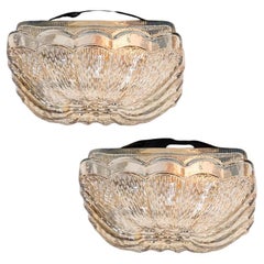 Clear Glass and Grey Flush Mount/Wall Light, Leuchten, 1960s