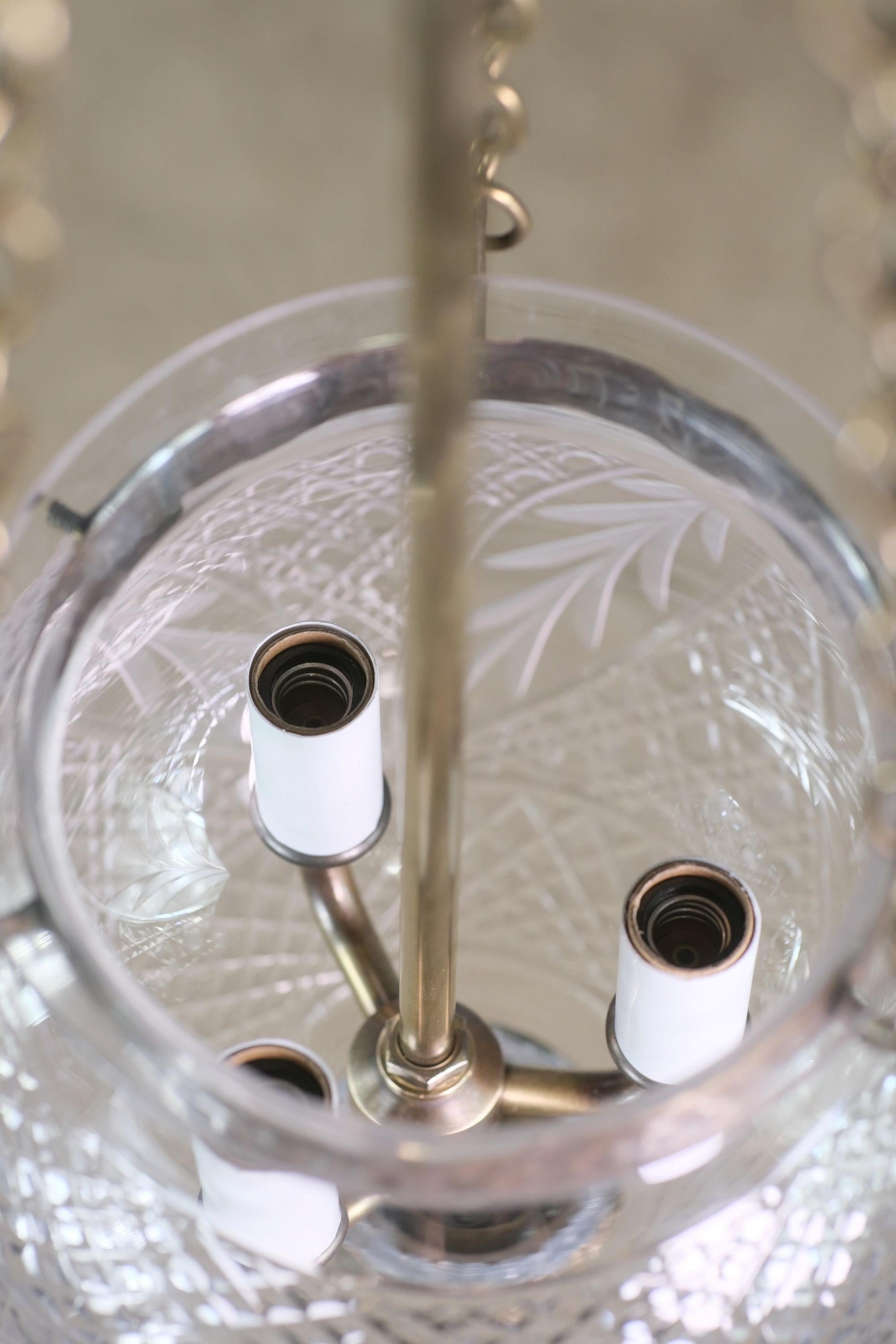 Clear Glass Bell Jar Pendant Light Leaves Brass Hardware 3