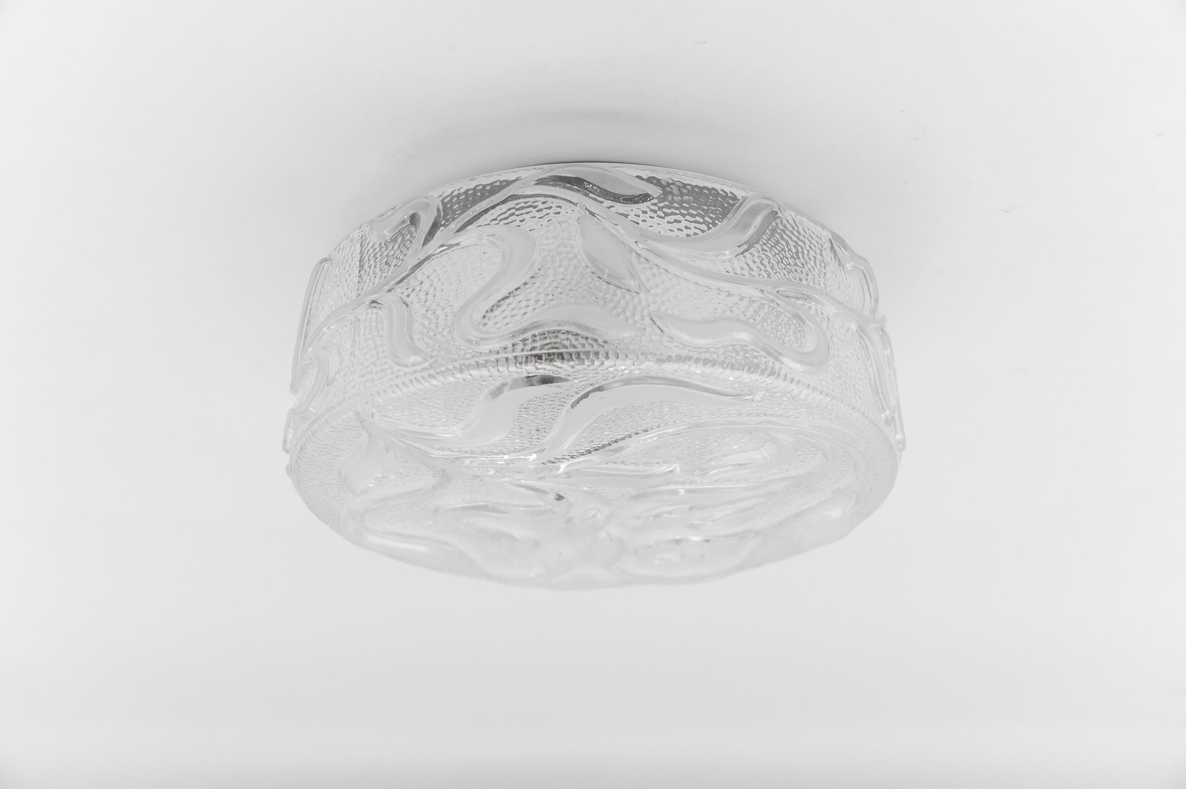 Clear Glass Botanical Round Flush Mount Light, Germany 1960s For Sale 5