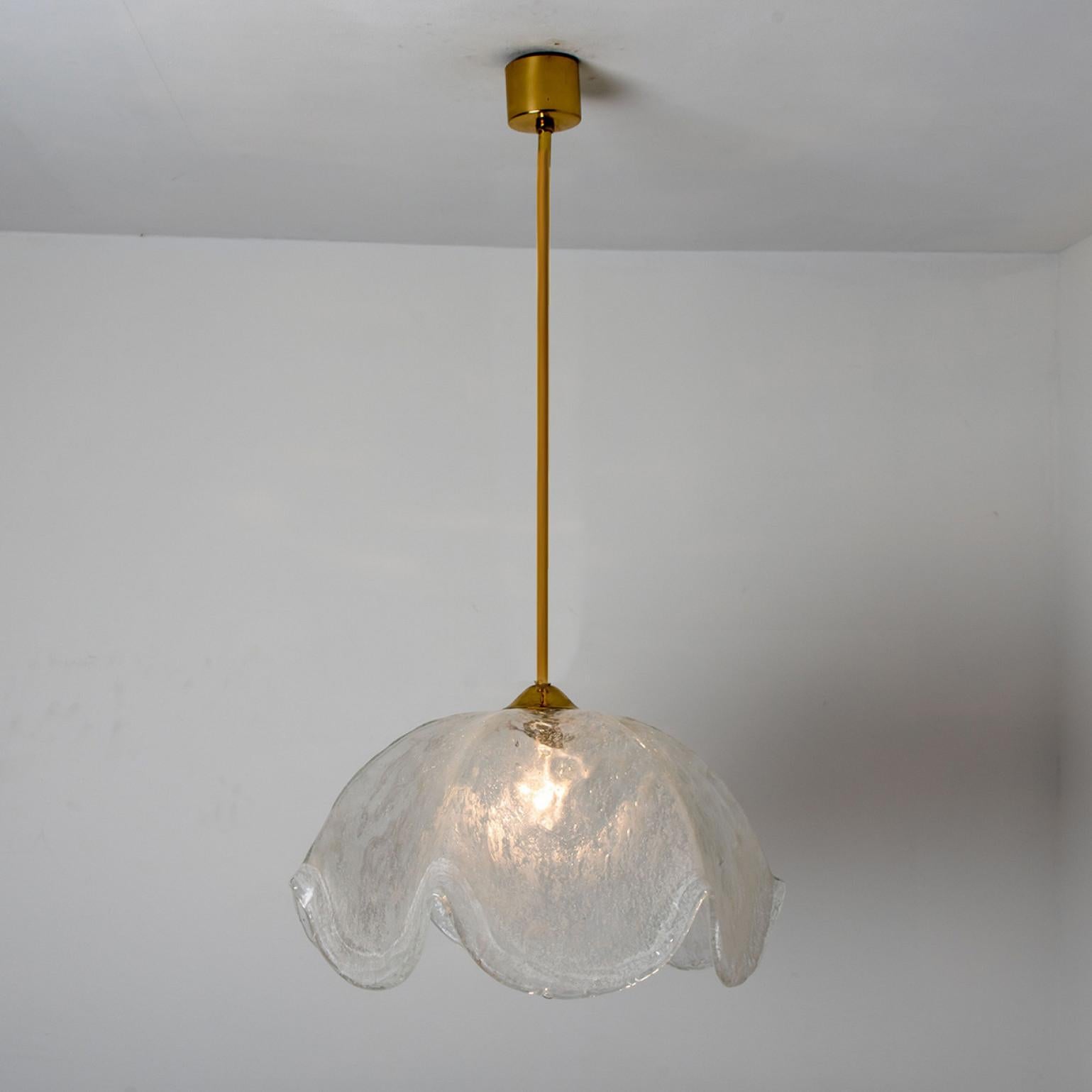 Clear Glass Flower Pendant Lamp by Kaiser, Leuchten, Germany For Sale 4