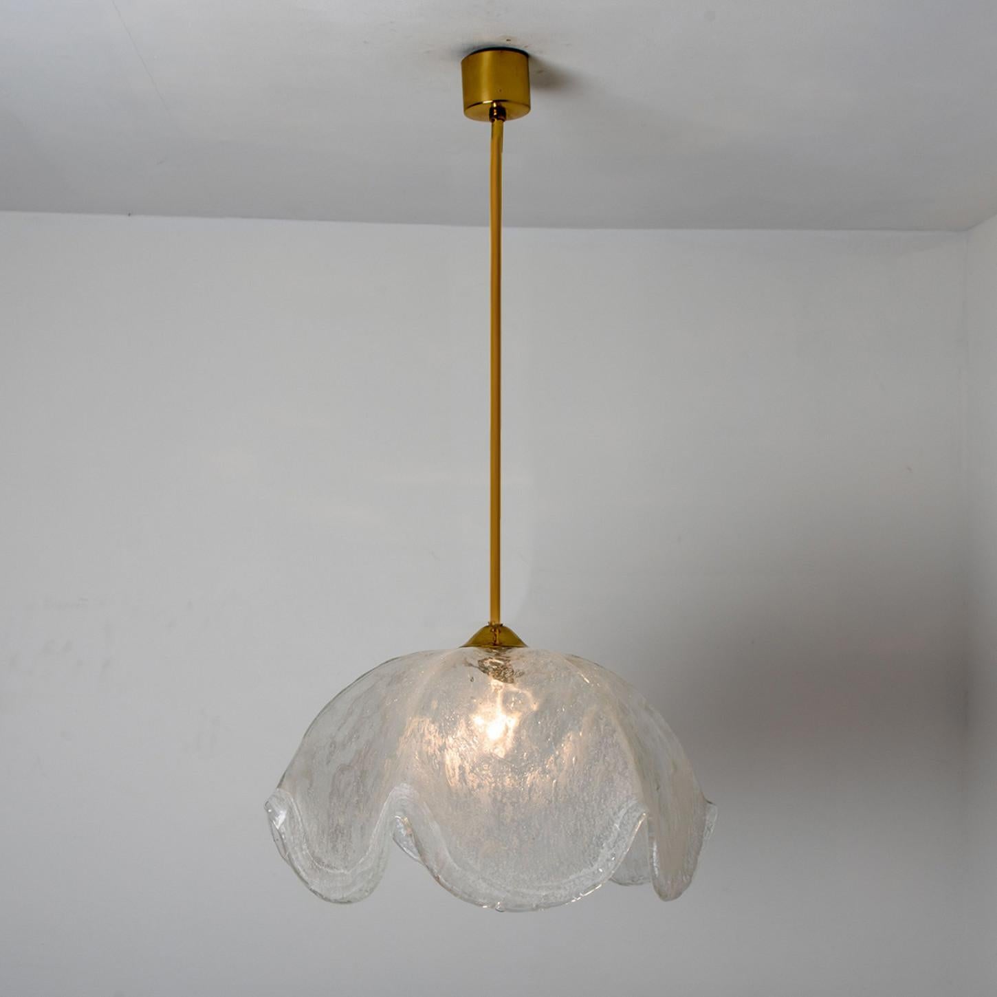 Lampada a sospensione a fiore in vetro trasparente di Kaiser, Leuchten, Germania in vendita 3