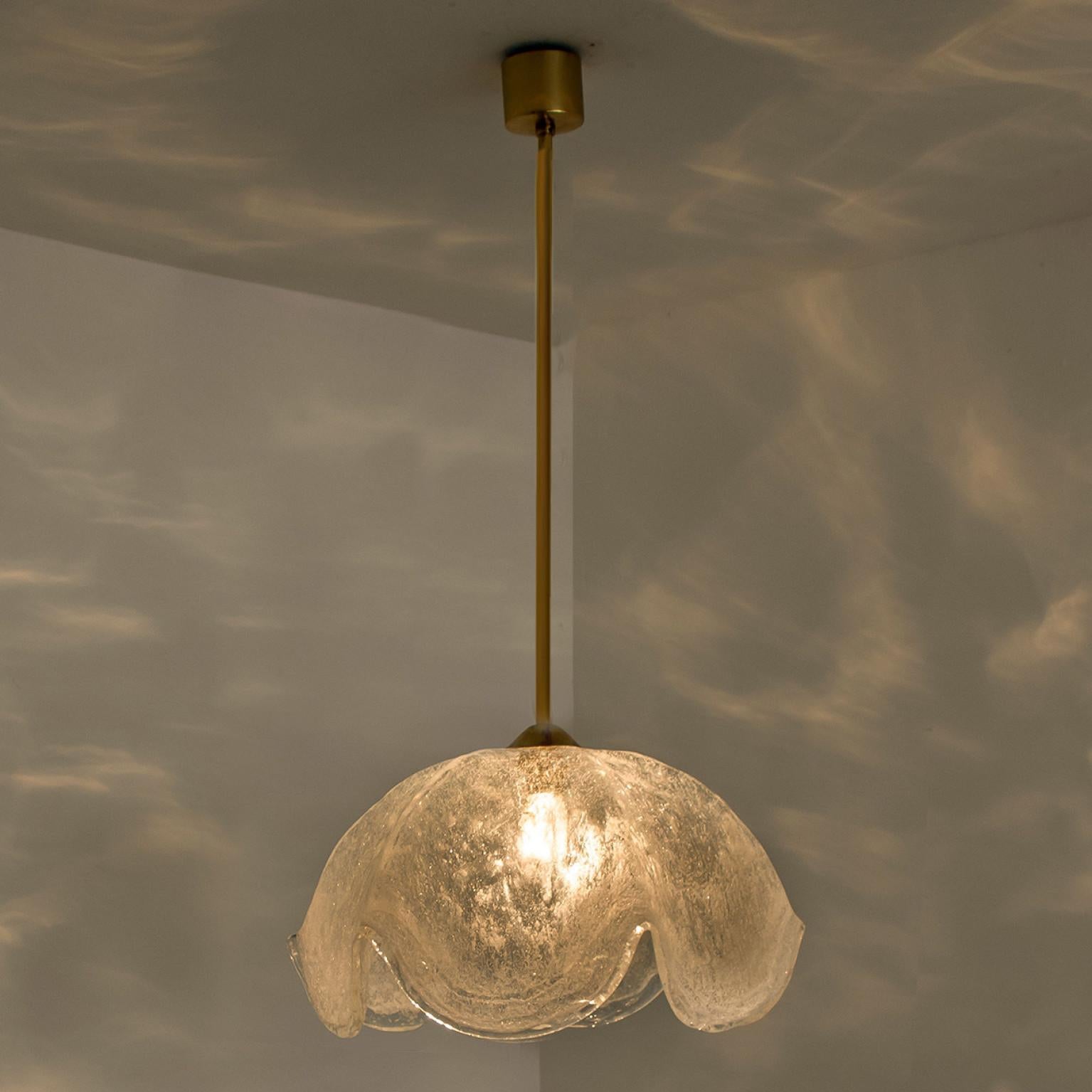 Brass Clear Glass Flower Pendant Lamp by Kaiser, Leuchten, Germany For Sale