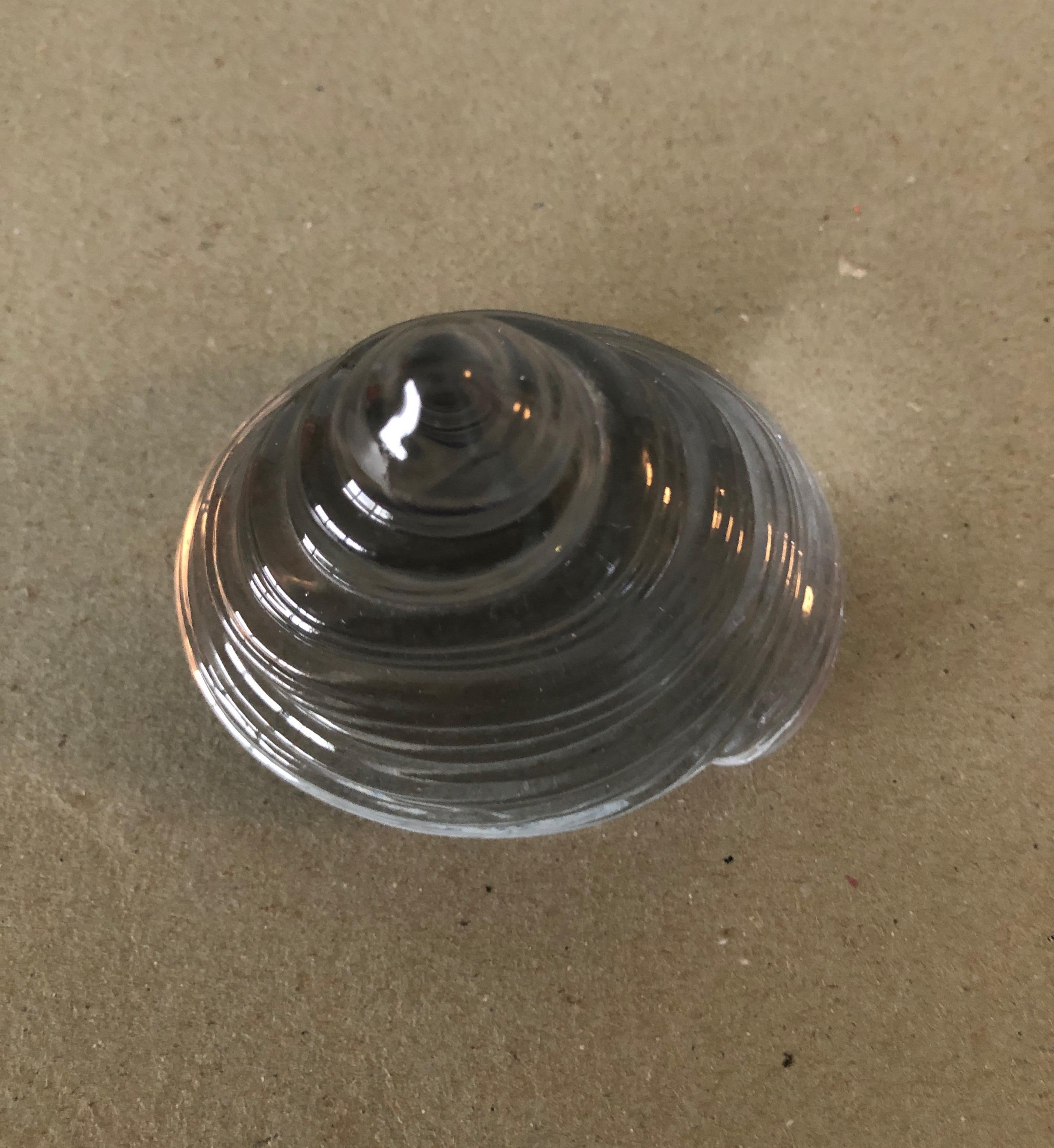 Mid-Century Modern Clear Glass Paperweight in a Cone Shell Shape