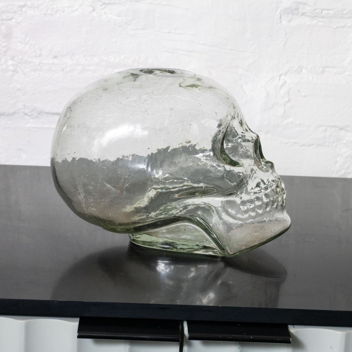Vaso con teschio scultoreo in vetro trasparente.