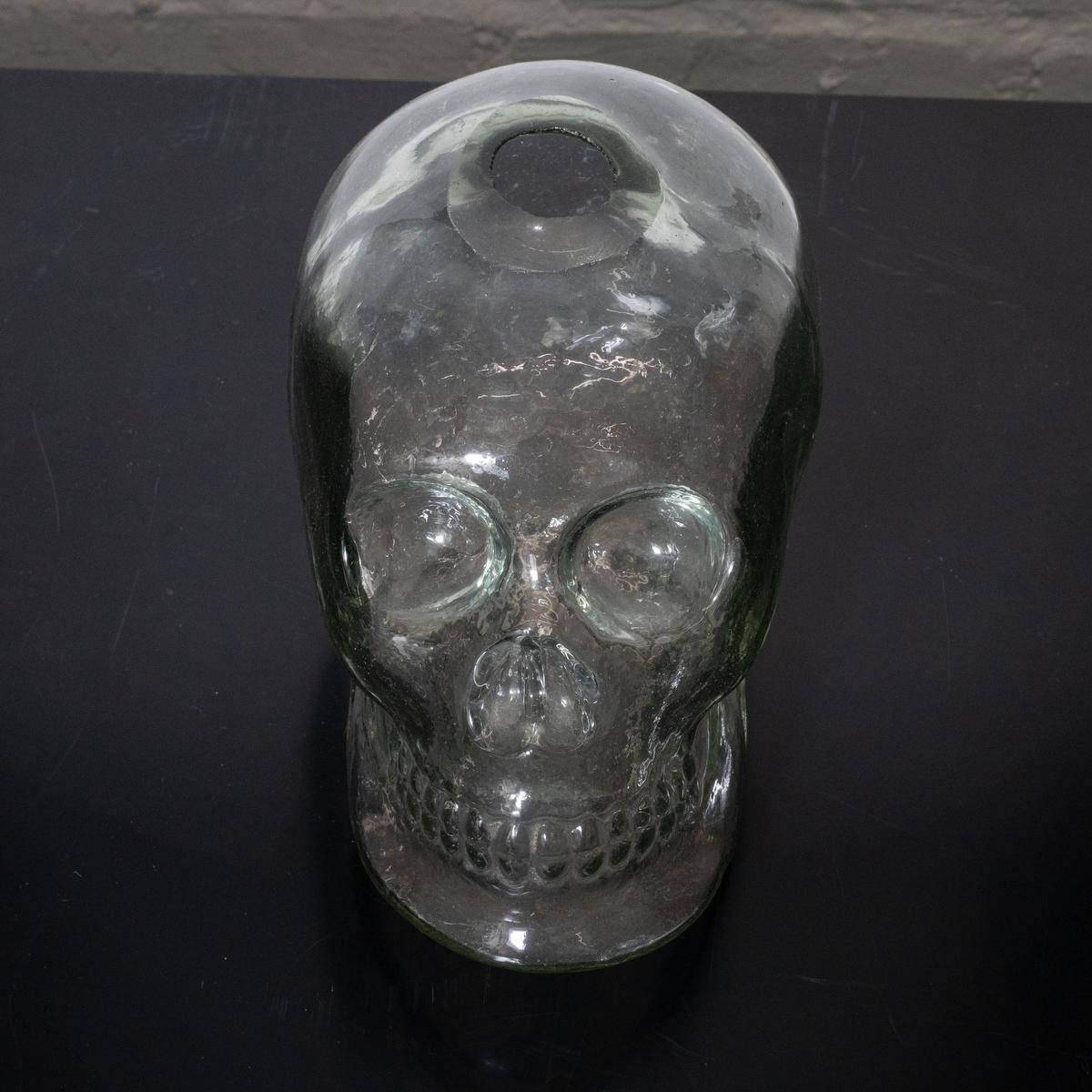 Vetro Vaso con teschio scultoreo in vetro trasparente in vendita