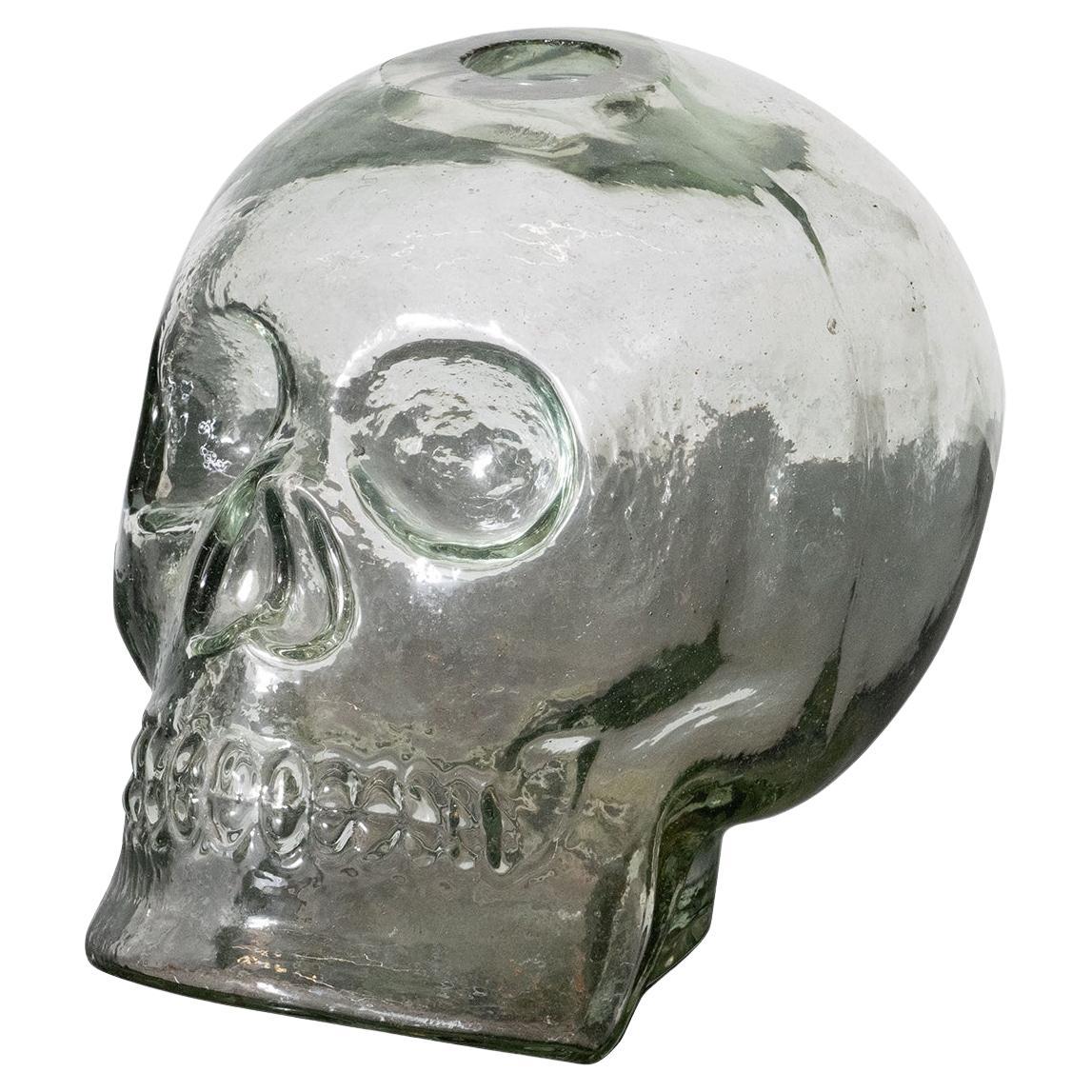 Vaso con teschio scultoreo in vetro trasparente