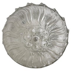 Clear Glass Sunflower Pattern Circular Flush Mount Ceiling Light, 1970s