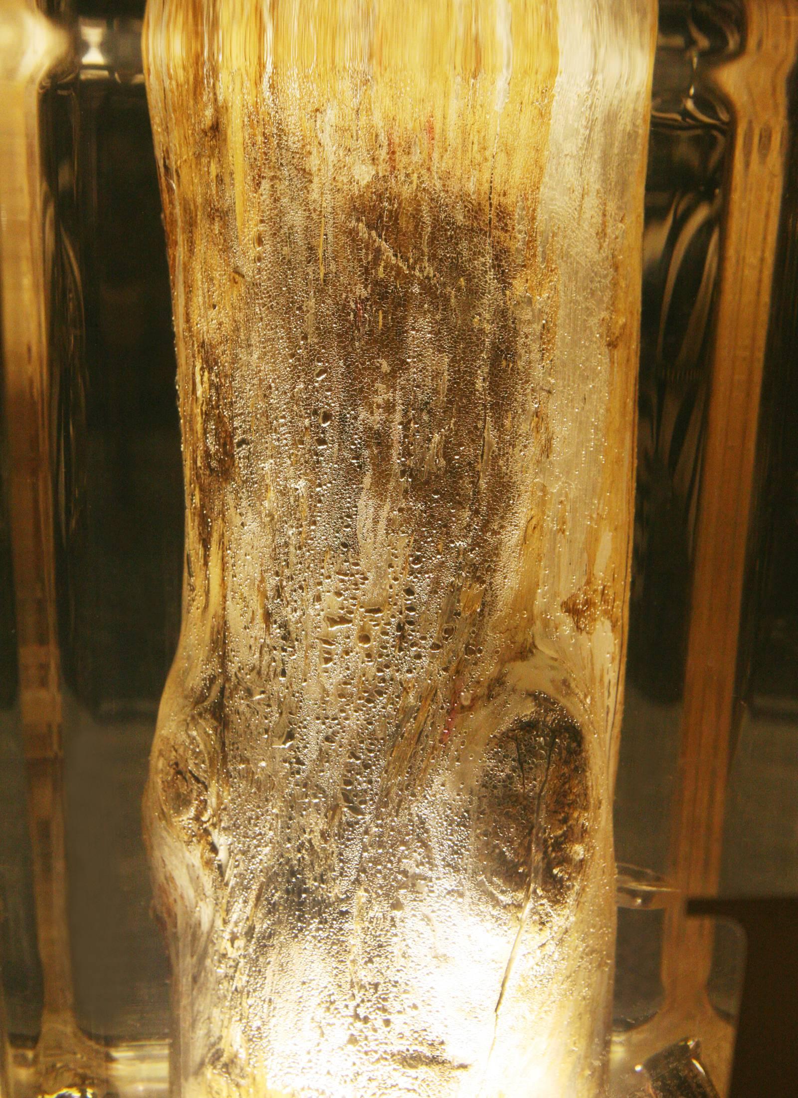 Clear Trunk Side Table in Acrylic Glass and Solid Wood For Sale 4