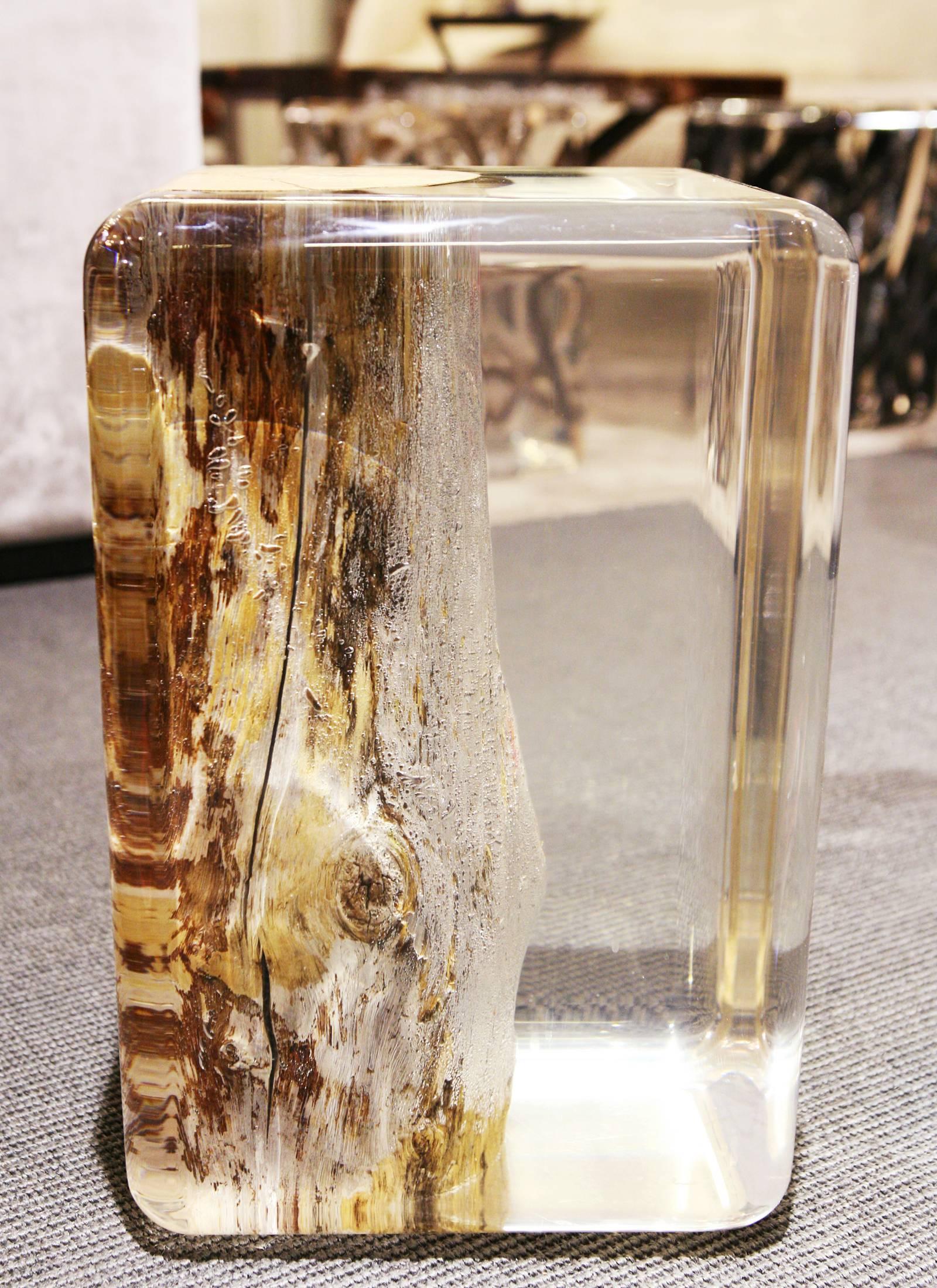 Hand-Crafted Clear Trunk Side Table in Acrylic Glass and Solid Wood For Sale