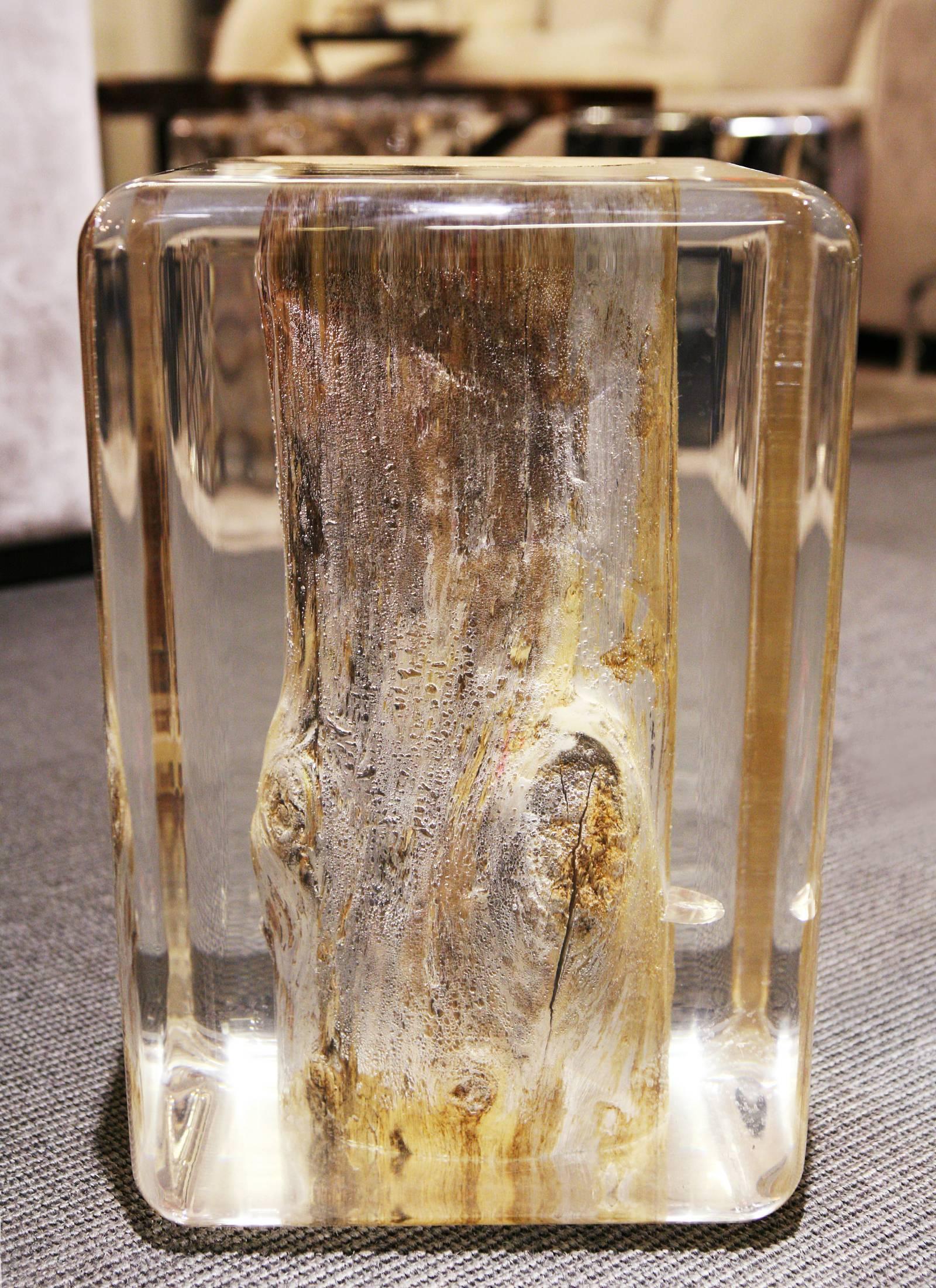 Clear Trunk Side Table in Acrylic Glass and Solid Wood In New Condition For Sale In Paris, FR