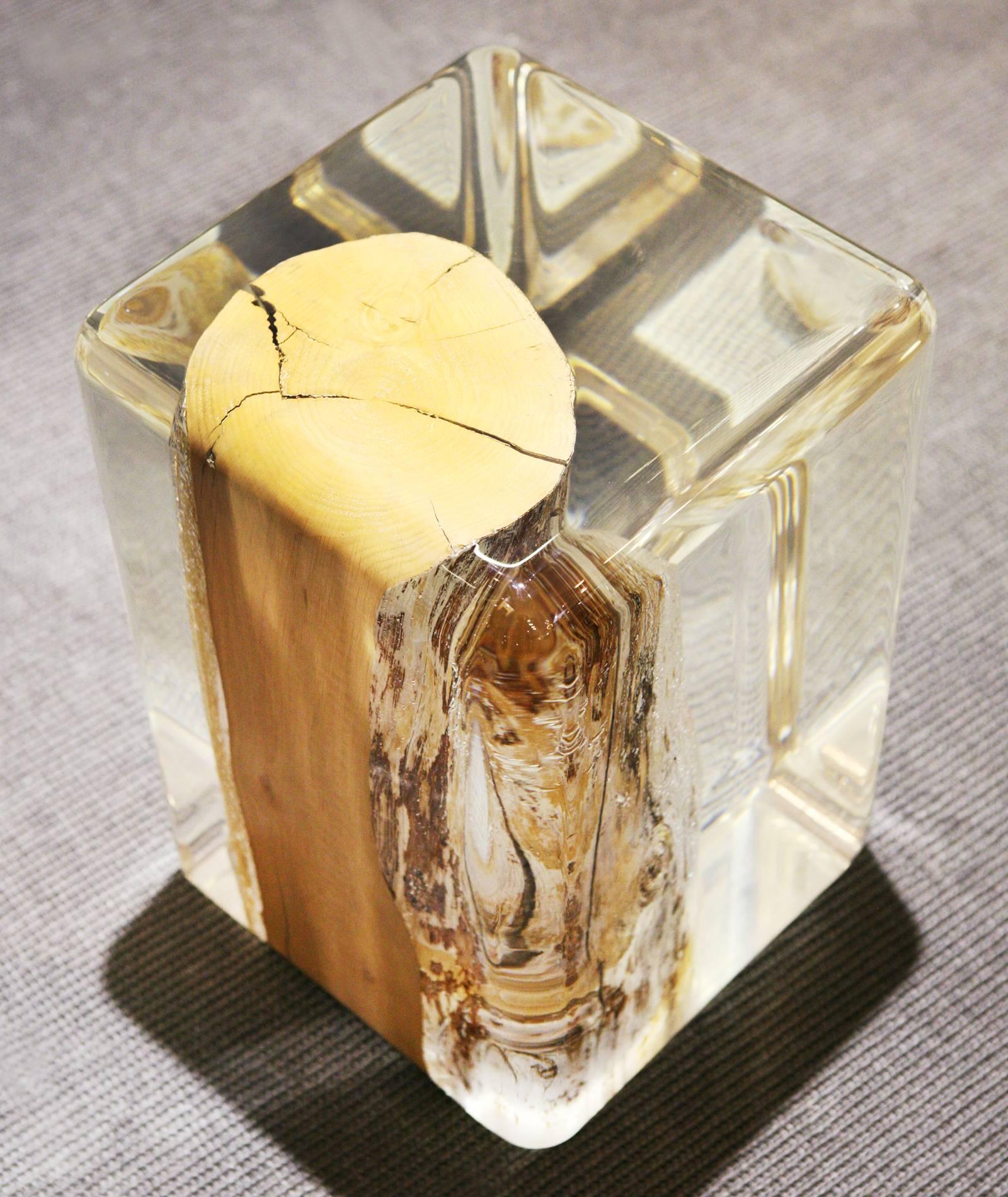 Clear Trunk Side Table in Acrylic Glass and Solid Wood For Sale 2