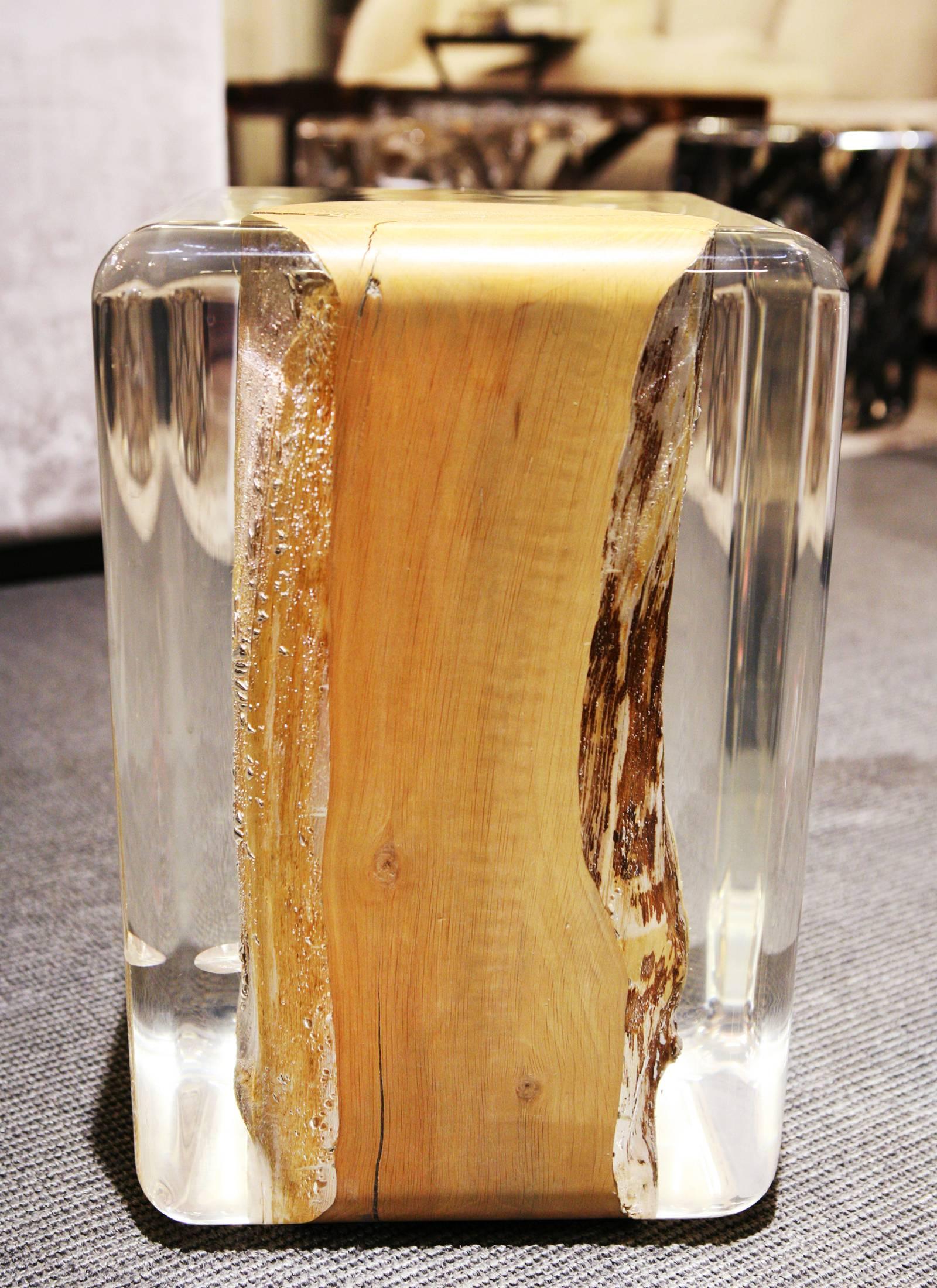 Hand-Crafted Clear Trunk Side Table with Acrylic Glass and Solid Wood For Sale