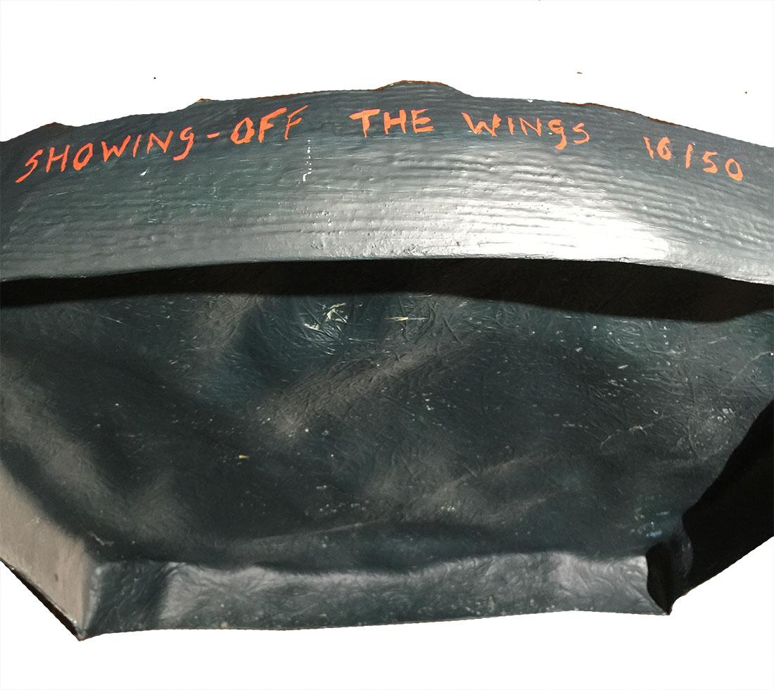 Clemens Briels, „Showing off the wings“, 2000, 16/50 (21. Jahrhundert und zeitgenössisch) im Angebot