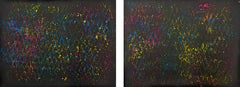 Used CMYK I and II, Expanded Metal Painting. Diptych