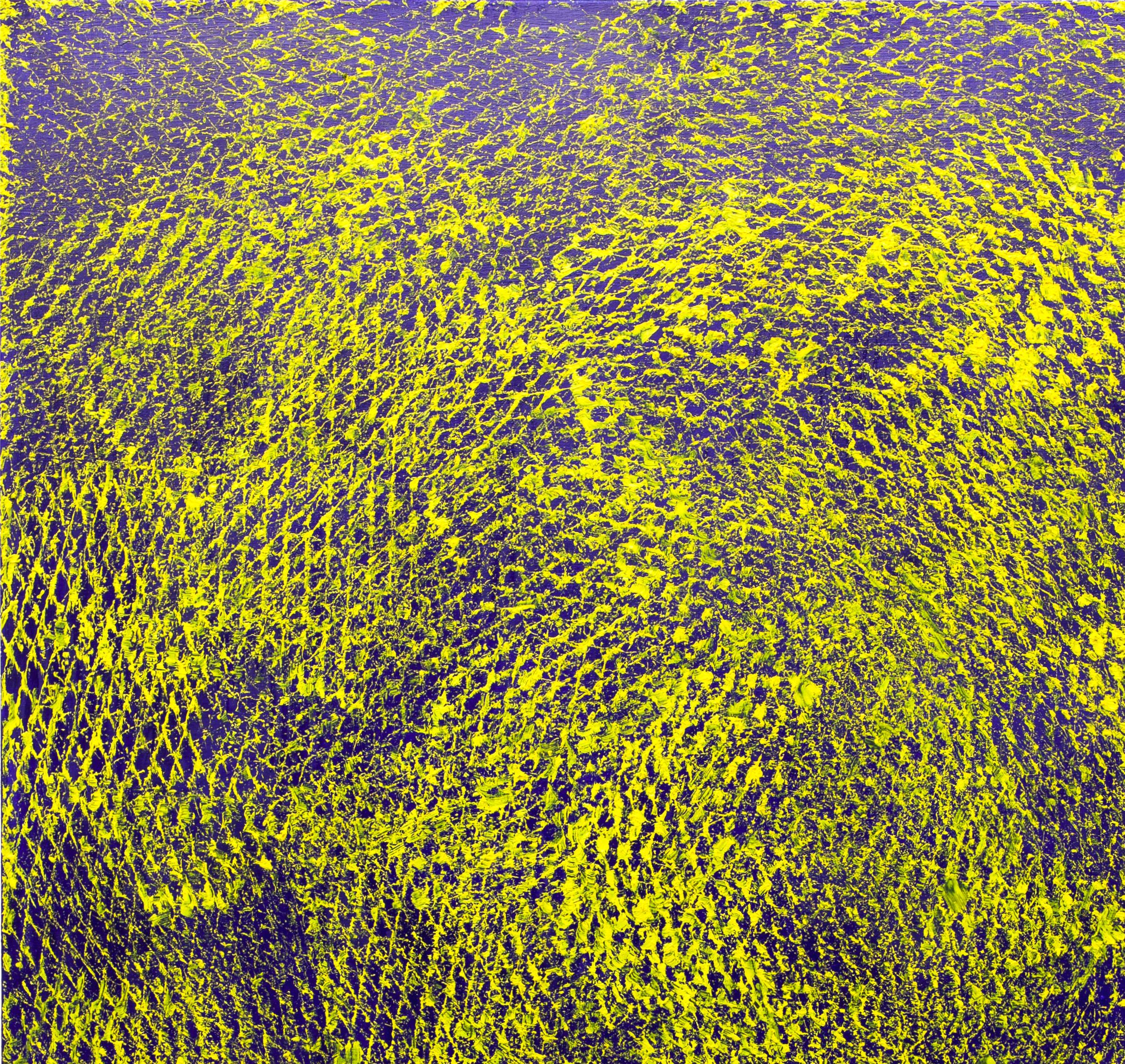 Blue and Yellow, Expanded Metal Painting, 2020 by Clemens Wolf
From the series Expanded Metal Paintings
Oil on canvas
Size: 200 H x 150 W CM 
Unpacked: 7,5 kg Approx.
Hand-signed back by the artist
Mounted on a stretcher
Unique

Expanded Metal