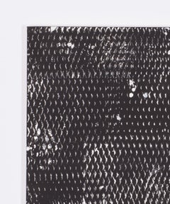 Black and White II, Expanded Metal Painting