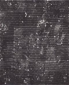 Used Black and White II, Expanded Metal Painting